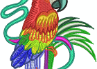 Stunning Parrots 005 7inch